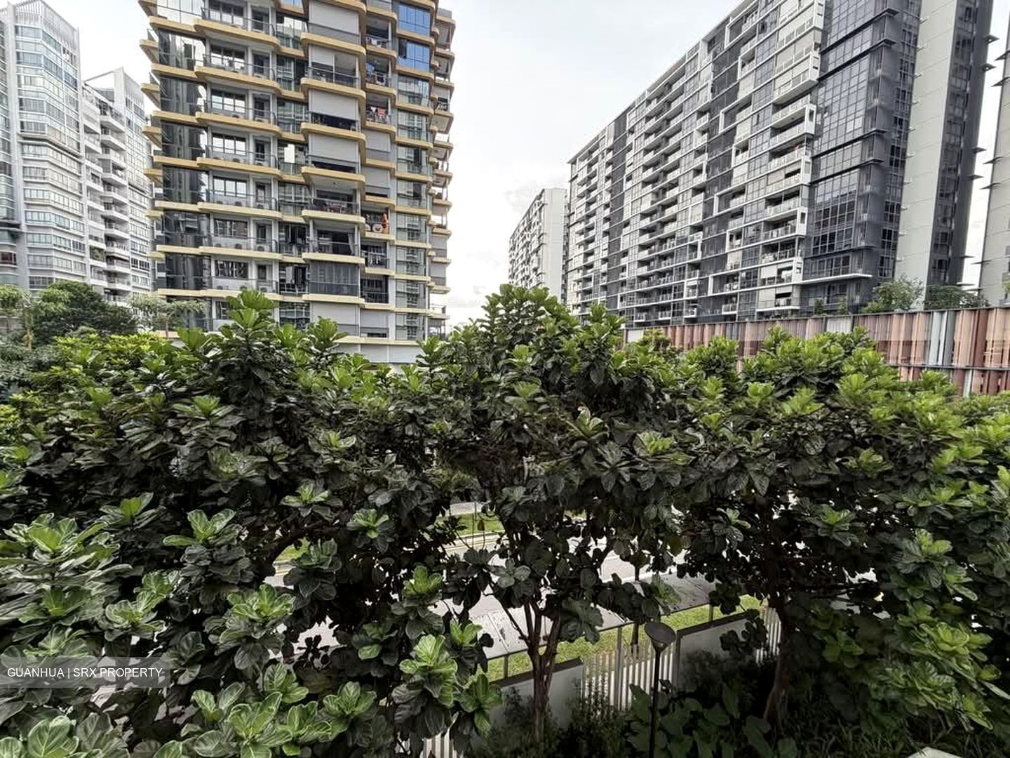 Woodsville 28 (D13), Apartment #593942421